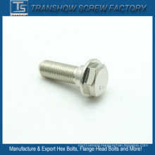 Quality First M10X20 AISI 304 Stainless Steel Flange Screw